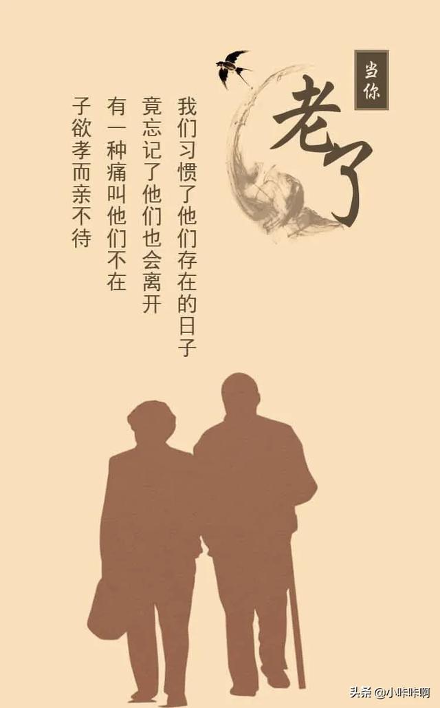 关于感恩老师的诗句古诗（关于感恩老师的诗句古诗4句）