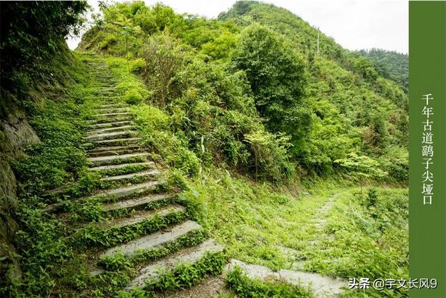 古道西风瘦马（古道西风瘦马全诗）
