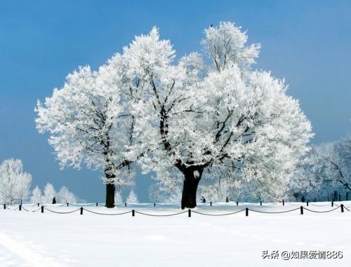 关于雪的现代诗歌（关于雪的现代诗歌手抄报内容）