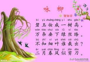 咏柳古诗意思（咏柳古诗的意思注释）